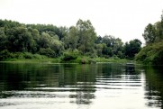 Река Сейм в июле 2013  Батурин - Путивль - Батурин